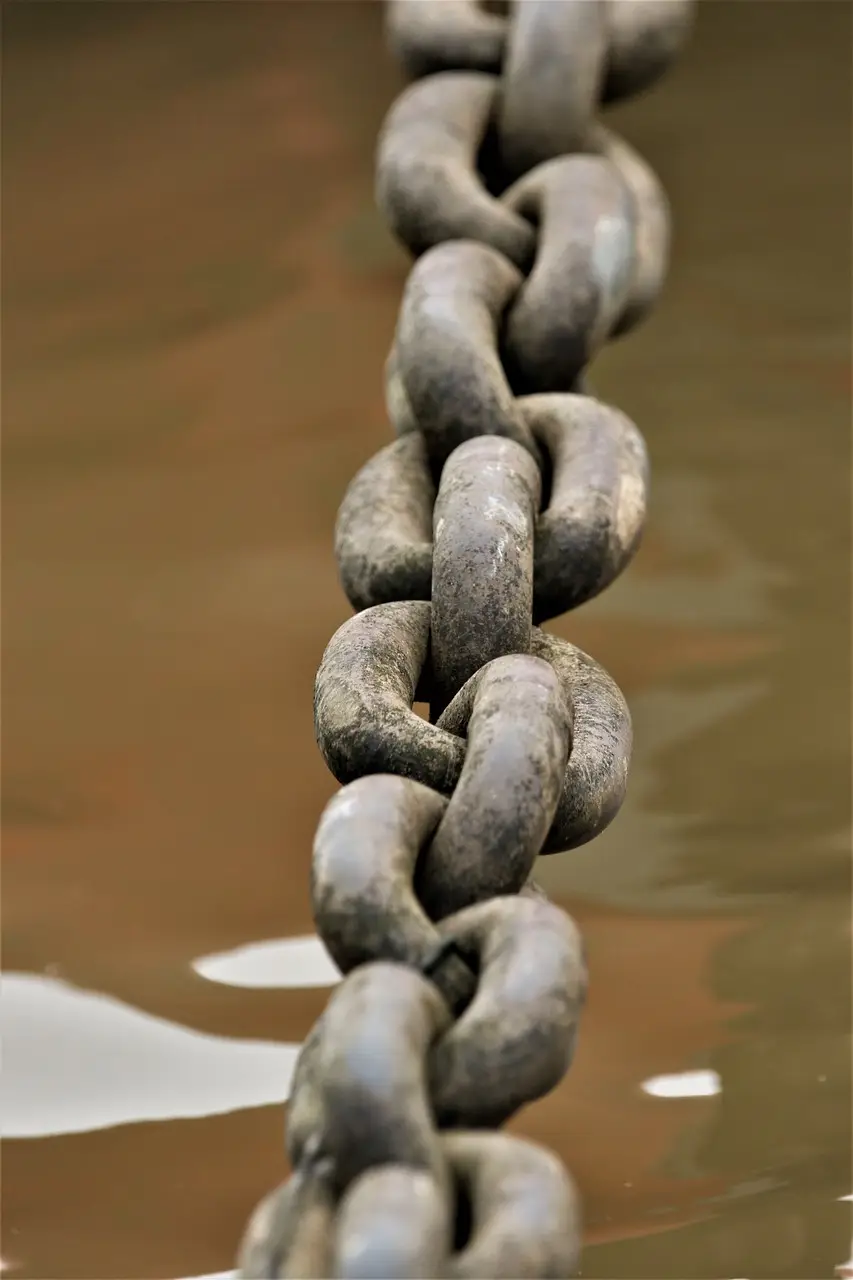 Services 4 gb5abb234bde240e885dc8d307dac9508092316be692442f8d00e871b1c13afd72a5ab5ab305ea846f3b2f2d0e8d438500a8dbad200833ea0f52f66ccd92e38e2 1280.jpg