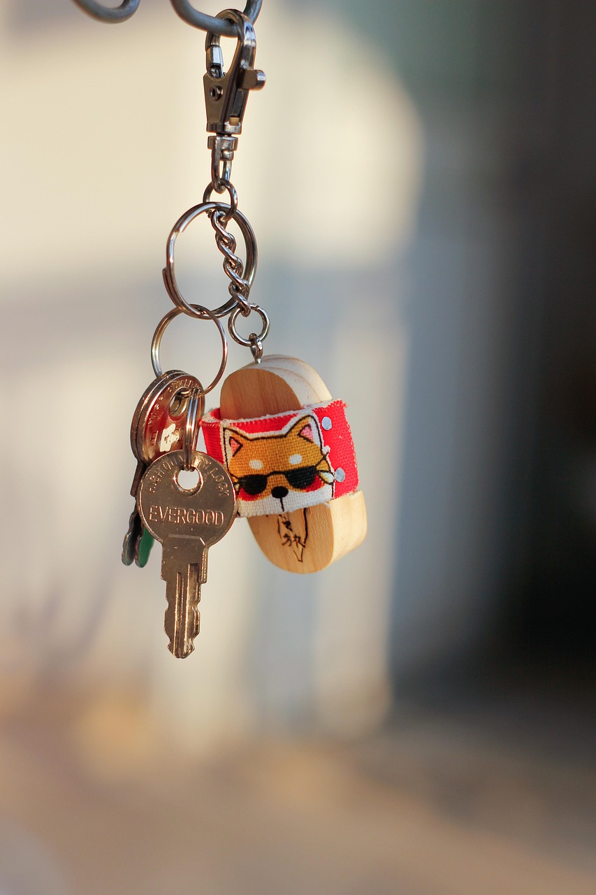 key, keychain, symbol, home, security, lock, brown security, brown key